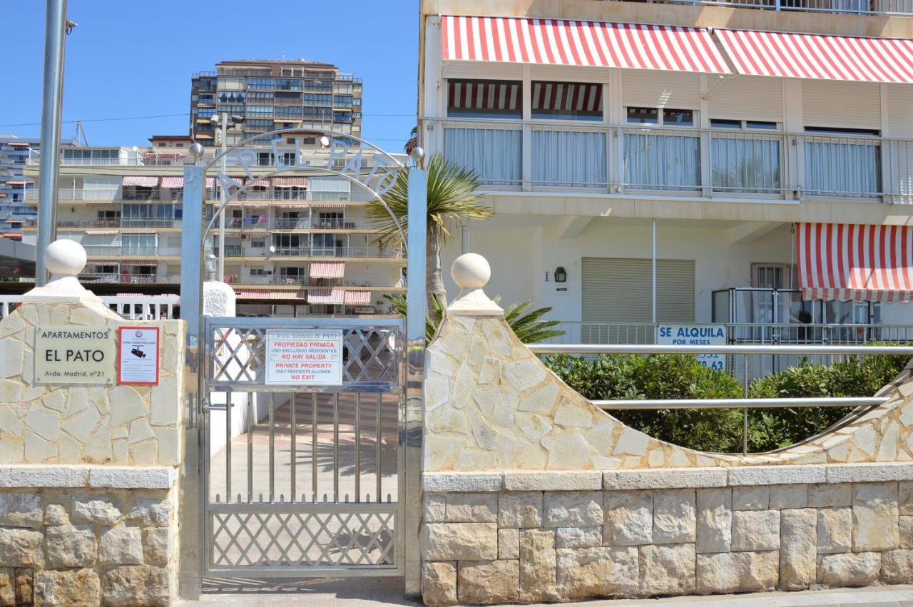 El Pato Primera Linea Benidorm Ngoại thất bức ảnh